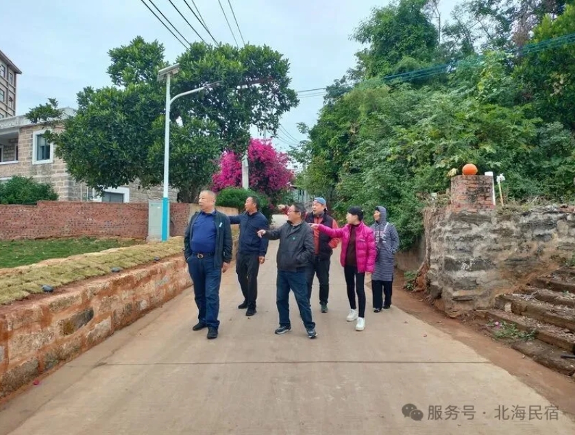 北海市民宿协会开展涠洲岛民宿调研活动